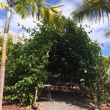 Hotel Casa Nova Boutique 2*